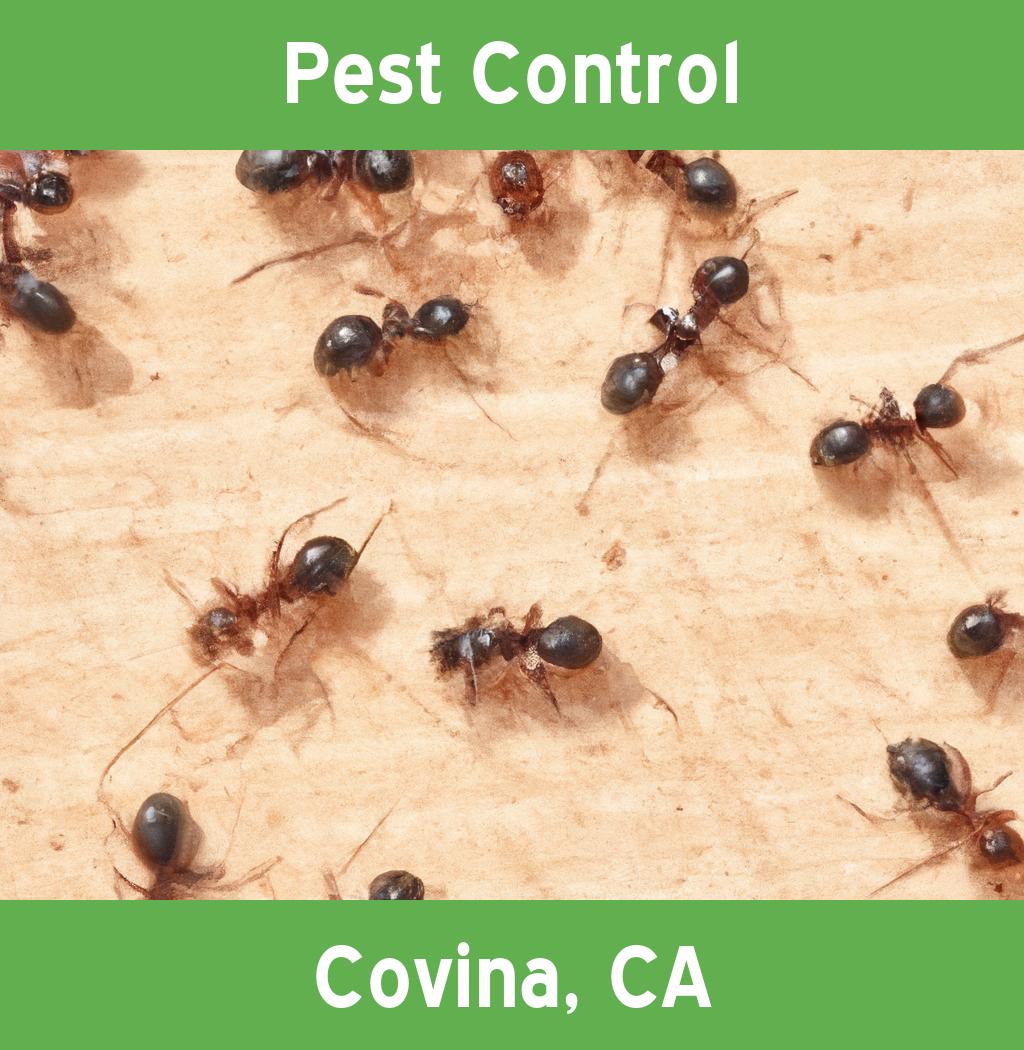 pest control in Covina California