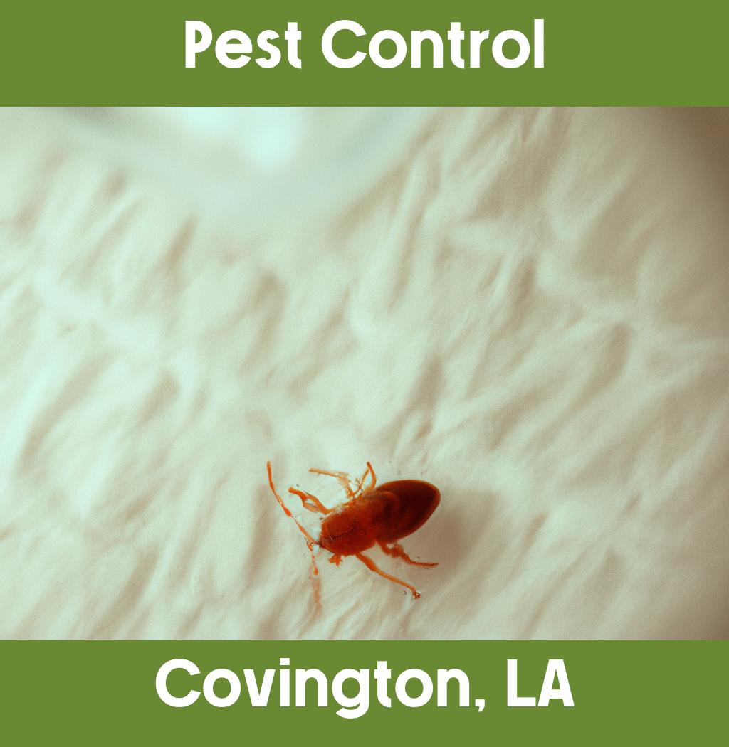 pest control in Covington Louisiana