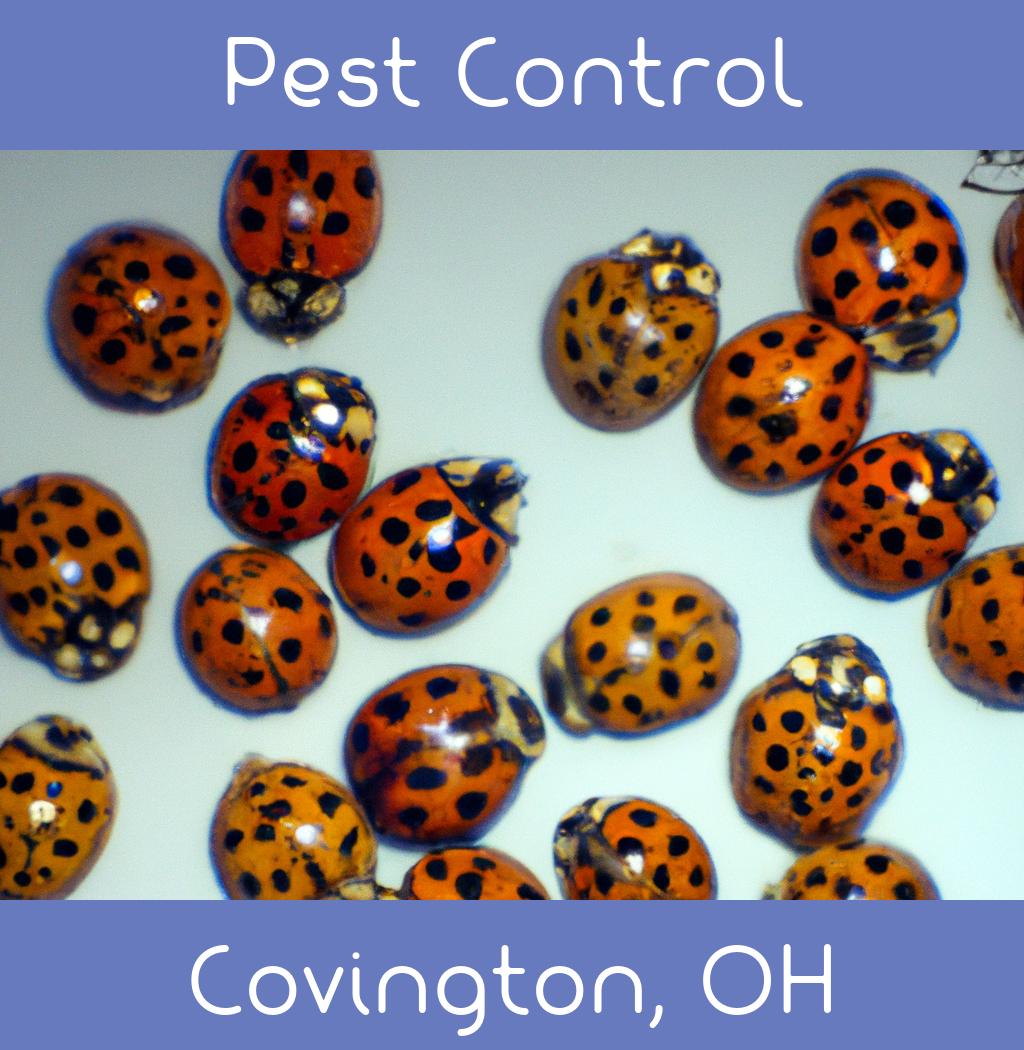 pest control in Covington Ohio