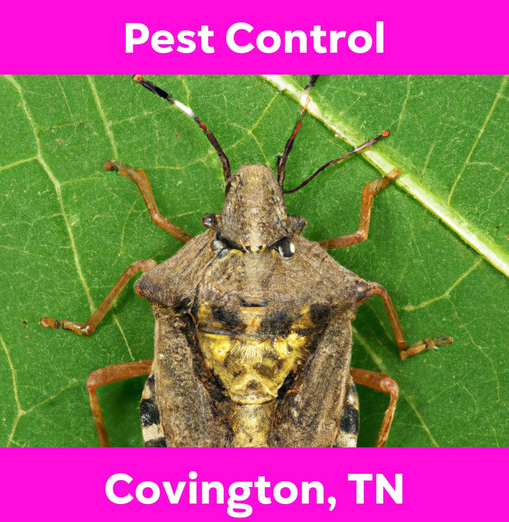 pest control in Covington Tennessee