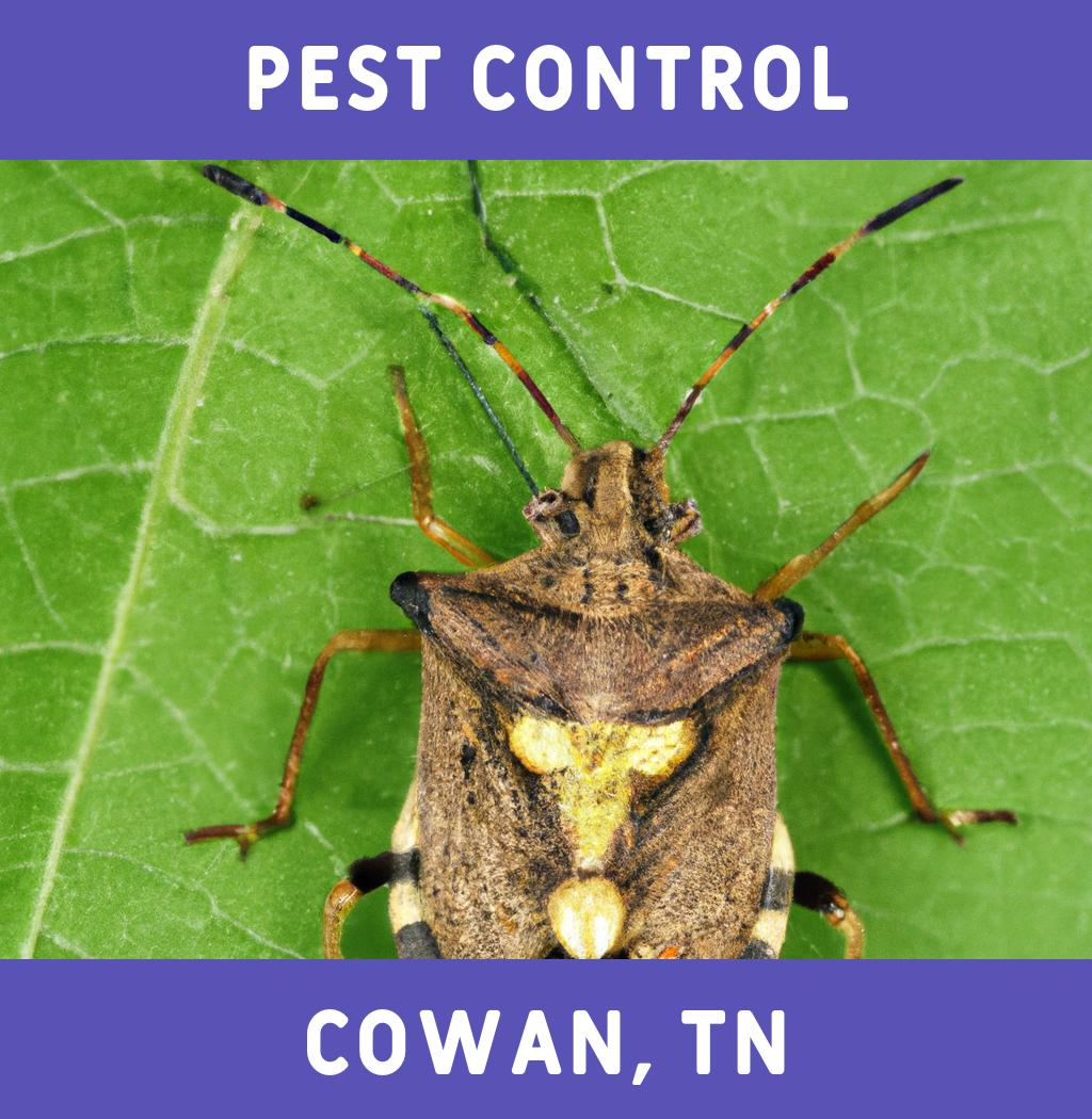 pest control in Cowan Tennessee