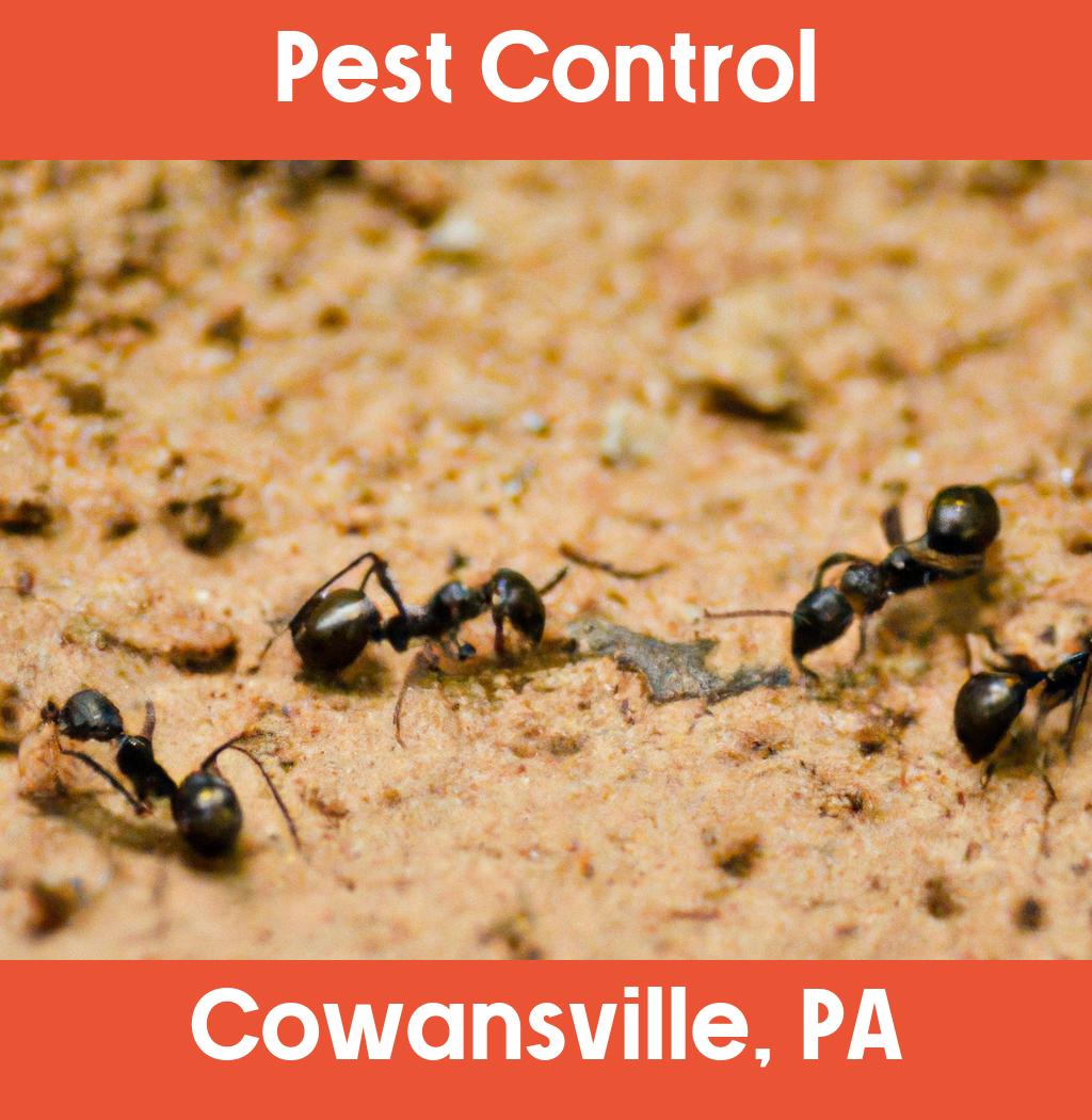 pest control in Cowansville Pennsylvania