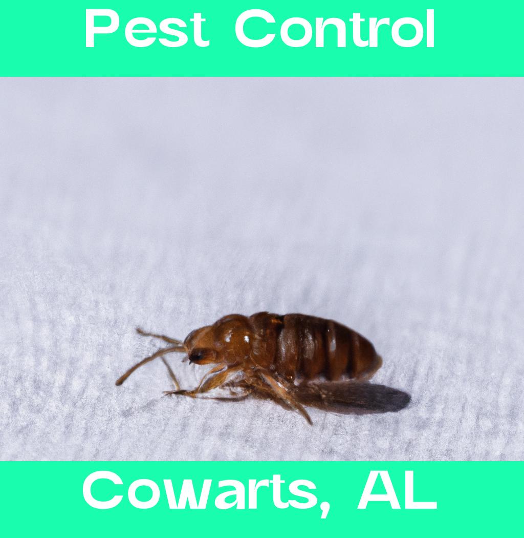 pest control in Cowarts Alabama