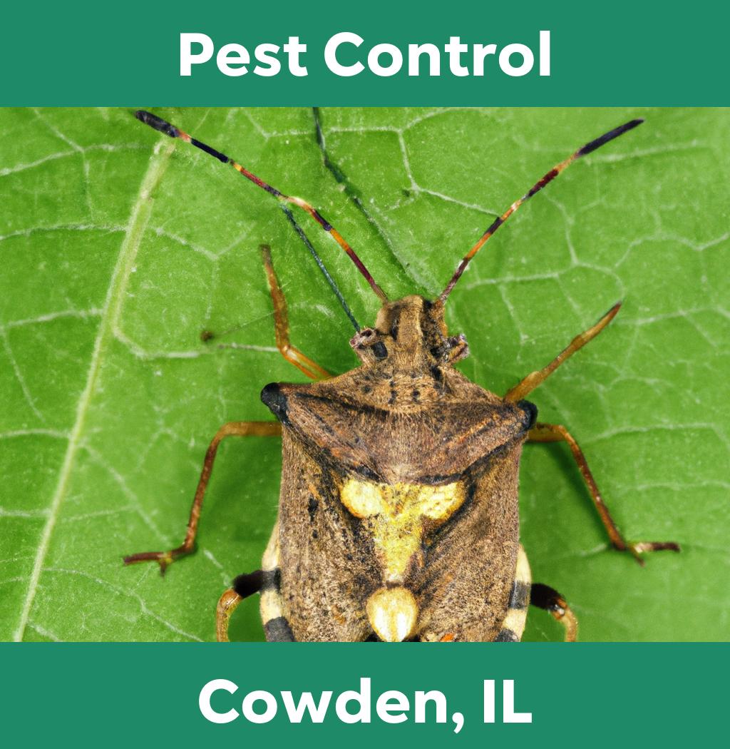 pest control in Cowden Illinois
