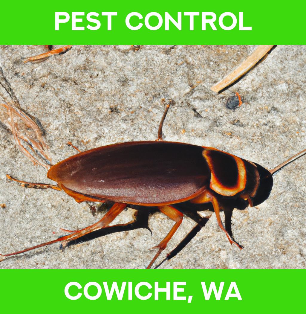 pest control in Cowiche Washington