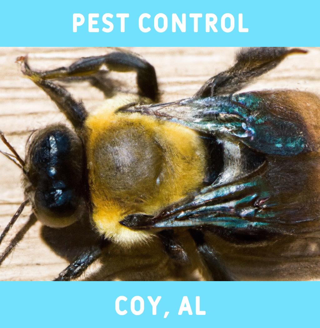 pest control in Coy Alabama