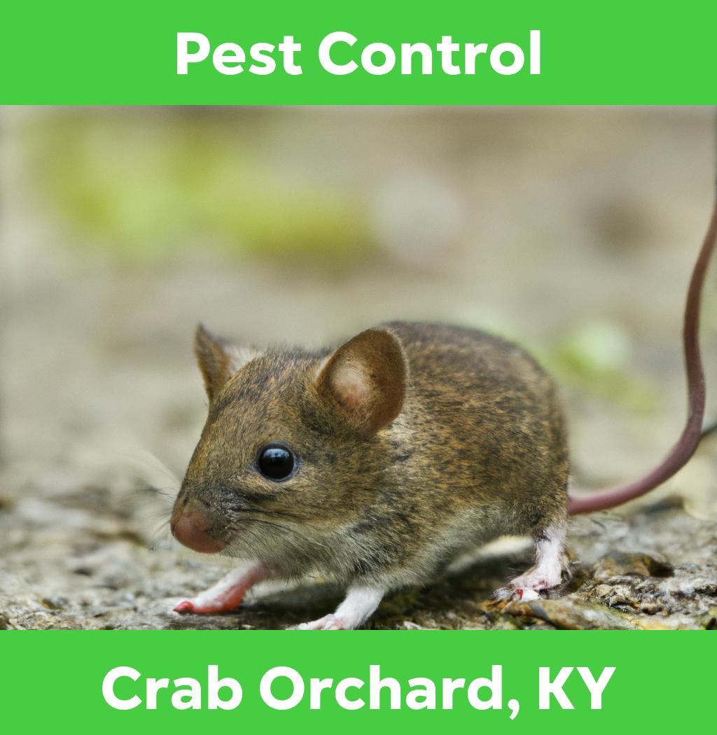 pest control in Crab Orchard Kentucky
