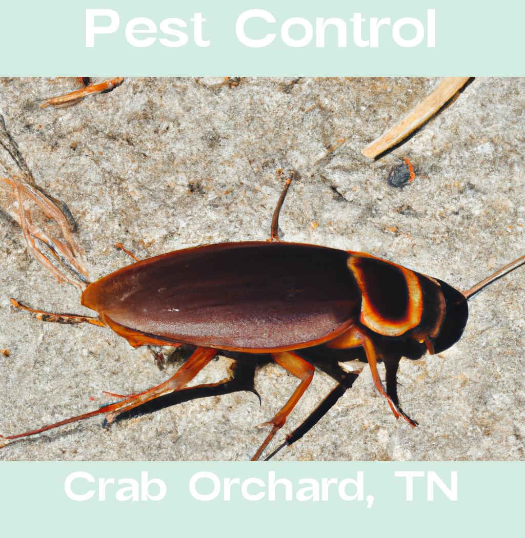 pest control in Crab Orchard Tennessee