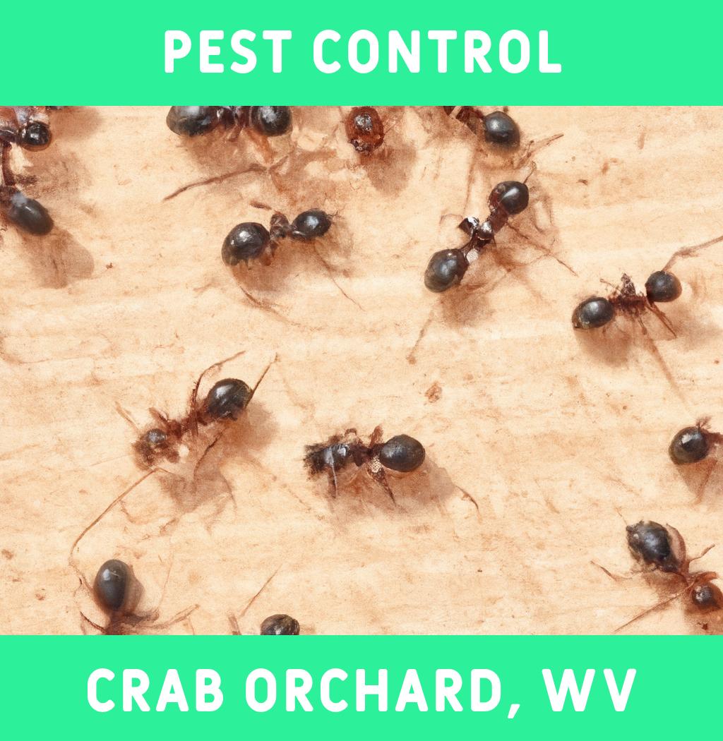 pest control in Crab Orchard West Virginia