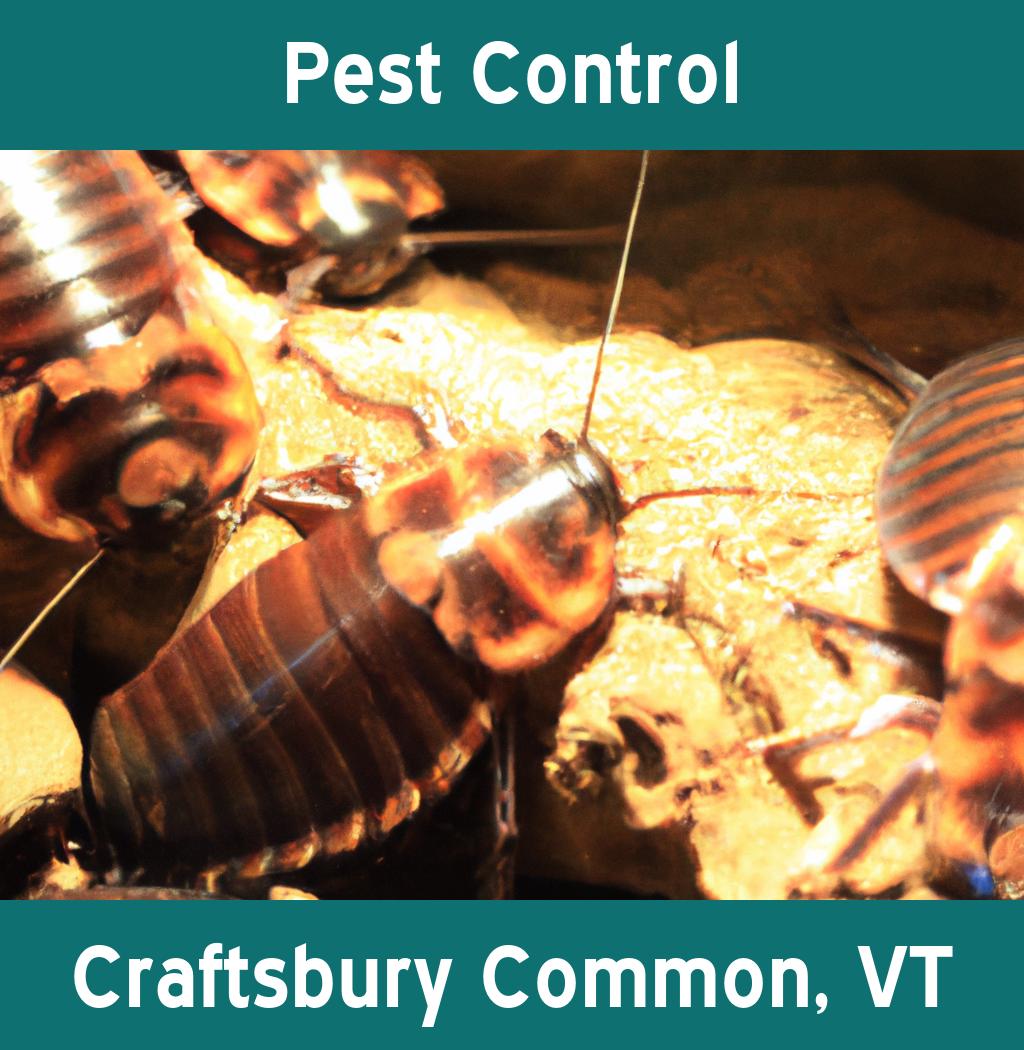 pest control in Craftsbury Common Vermont