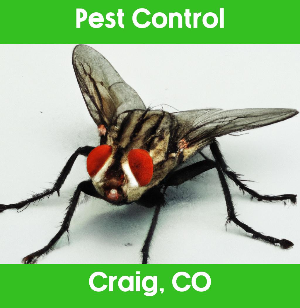 pest control in Craig Colorado