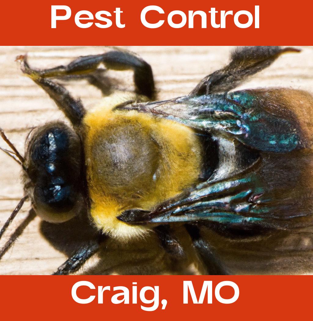 pest control in Craig Missouri