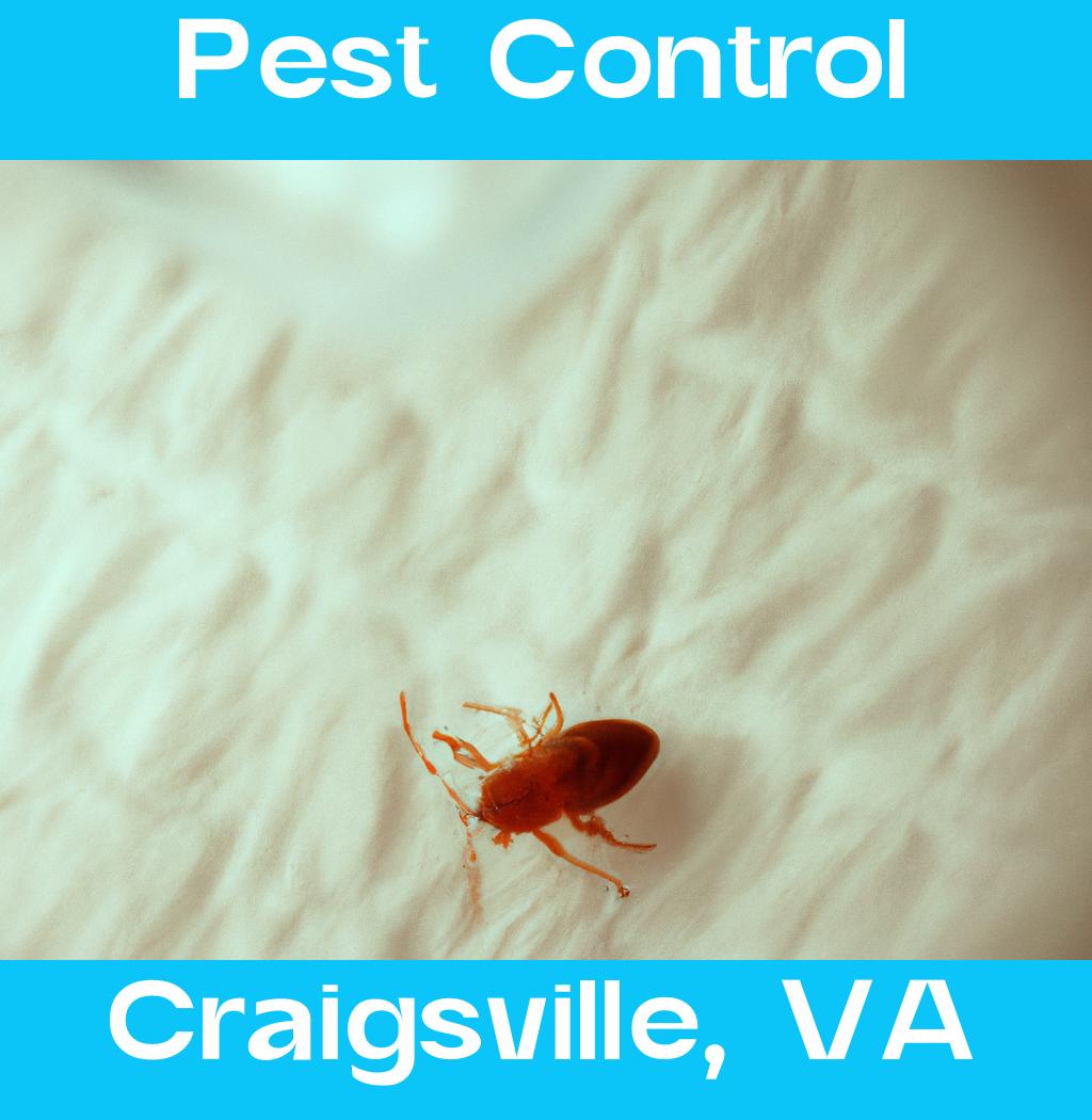pest control in Craigsville Virginia