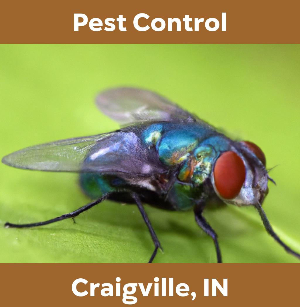 pest control in Craigville Indiana