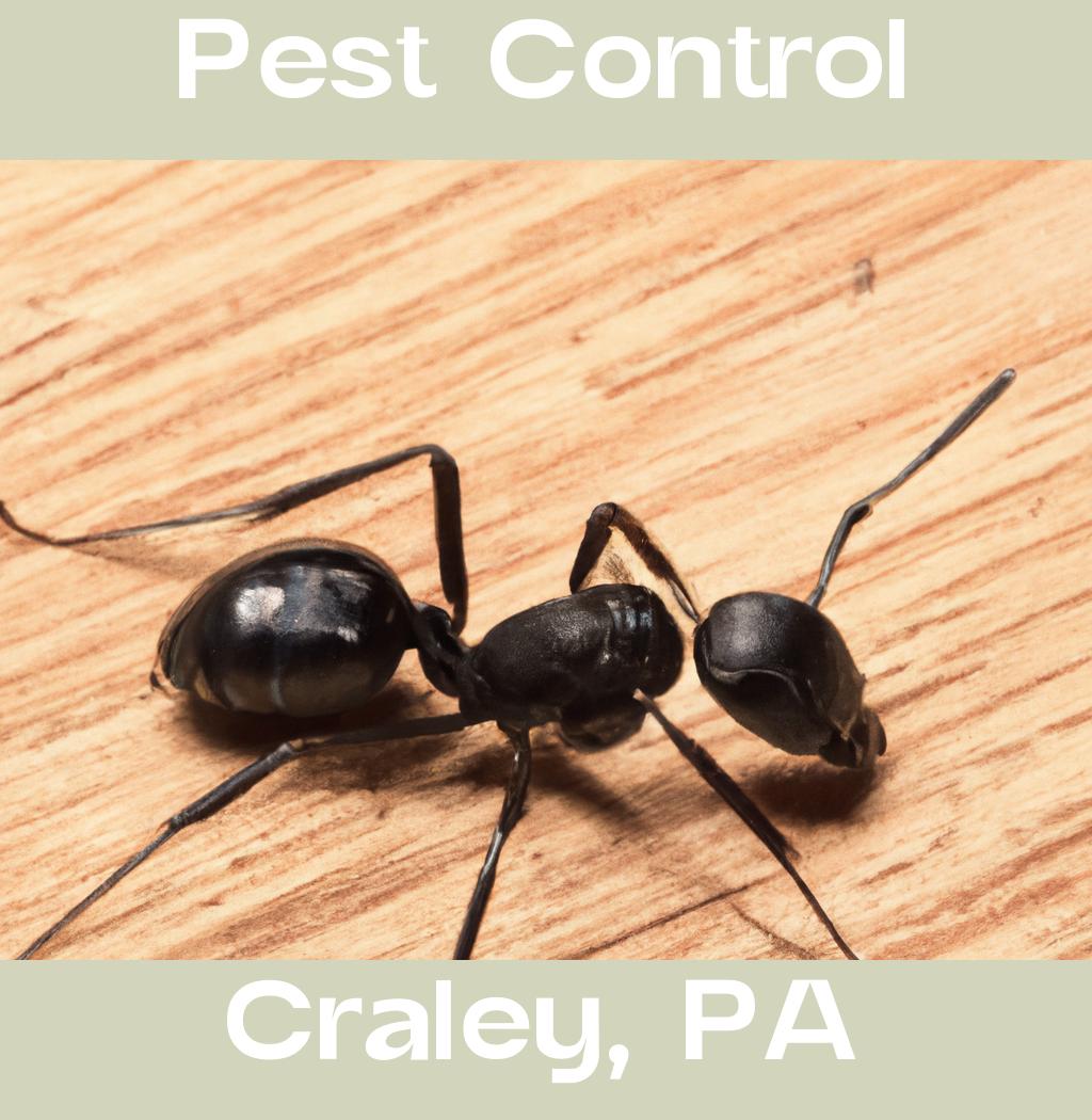 pest control in Craley Pennsylvania