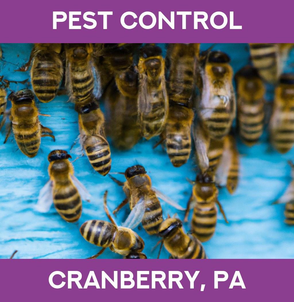 pest control in Cranberry Pennsylvania