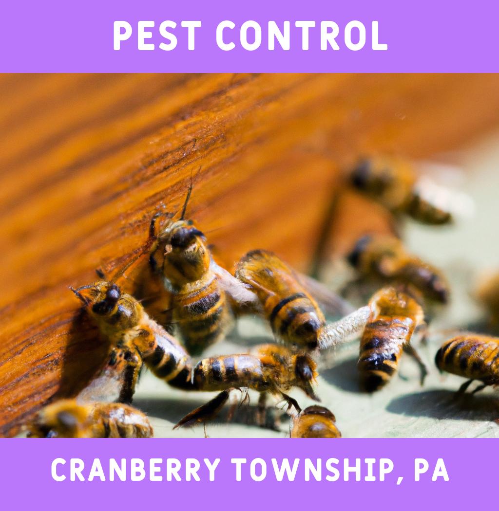 pest control in Cranberry Township Pennsylvania