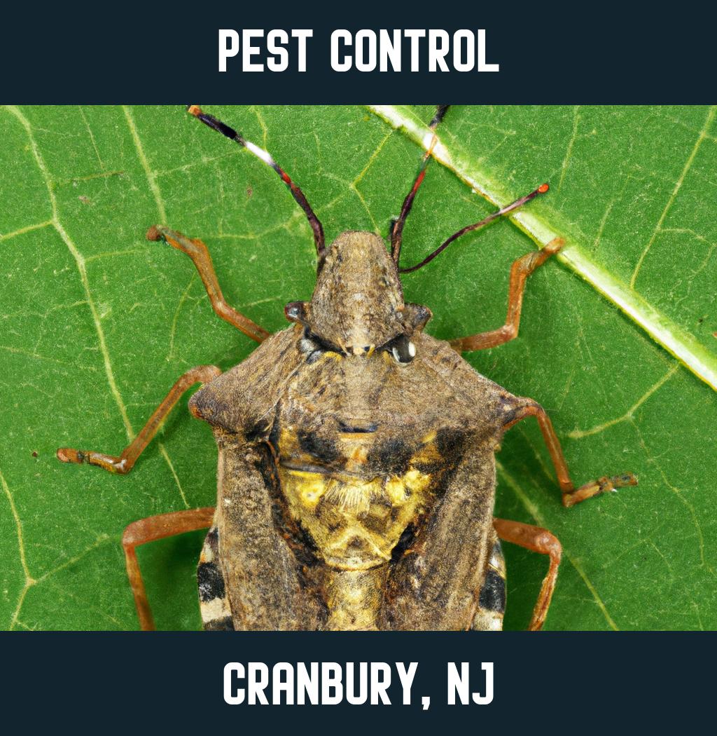 pest control in Cranbury New Jersey