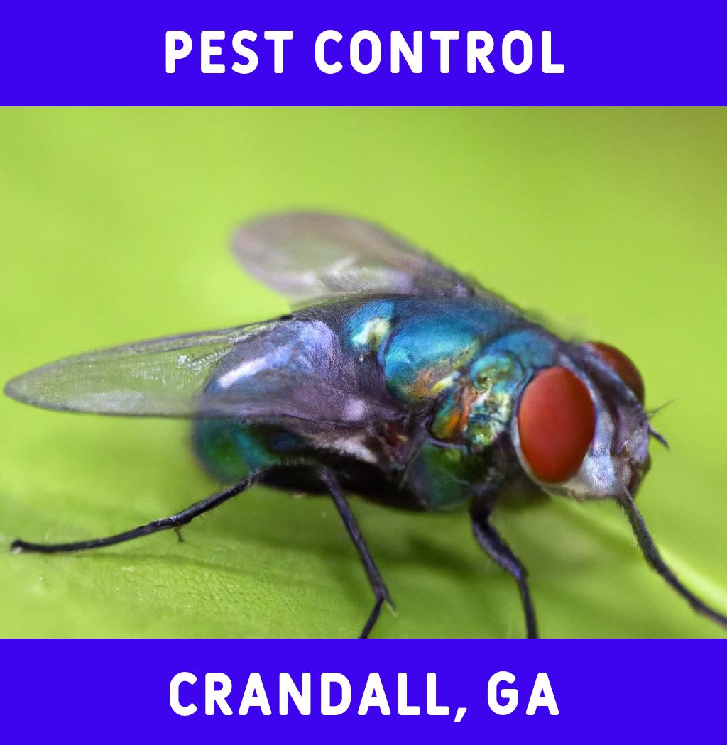 pest control in Crandall Georgia