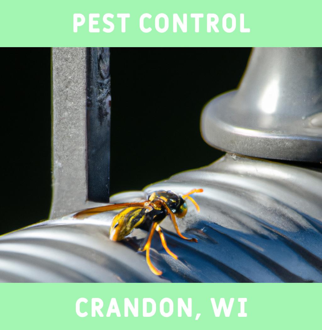 pest control in Crandon Wisconsin