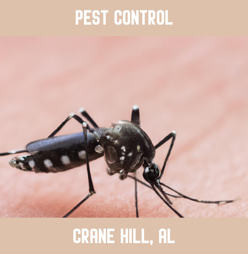 pest control in Crane Hill Alabama