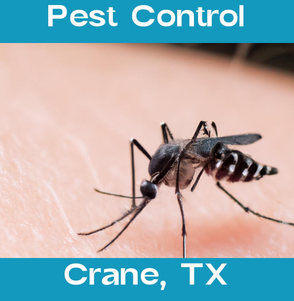 pest control in Crane Texas