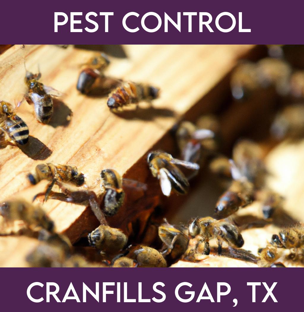 pest control in Cranfills Gap Texas