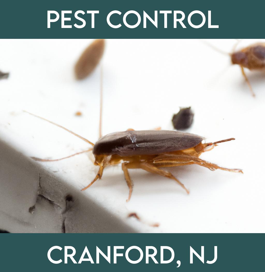 pest control in Cranford New Jersey