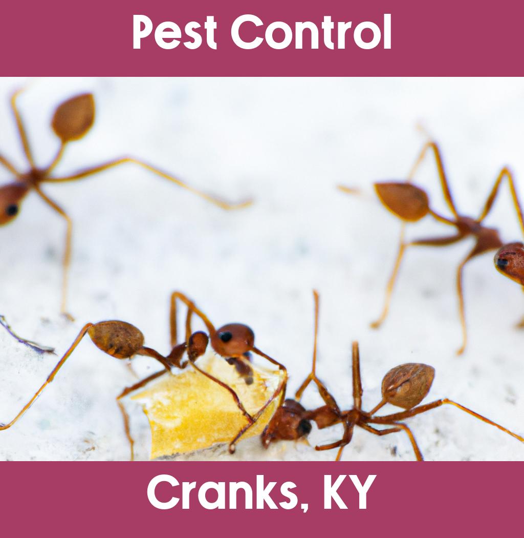 pest control in Cranks Kentucky