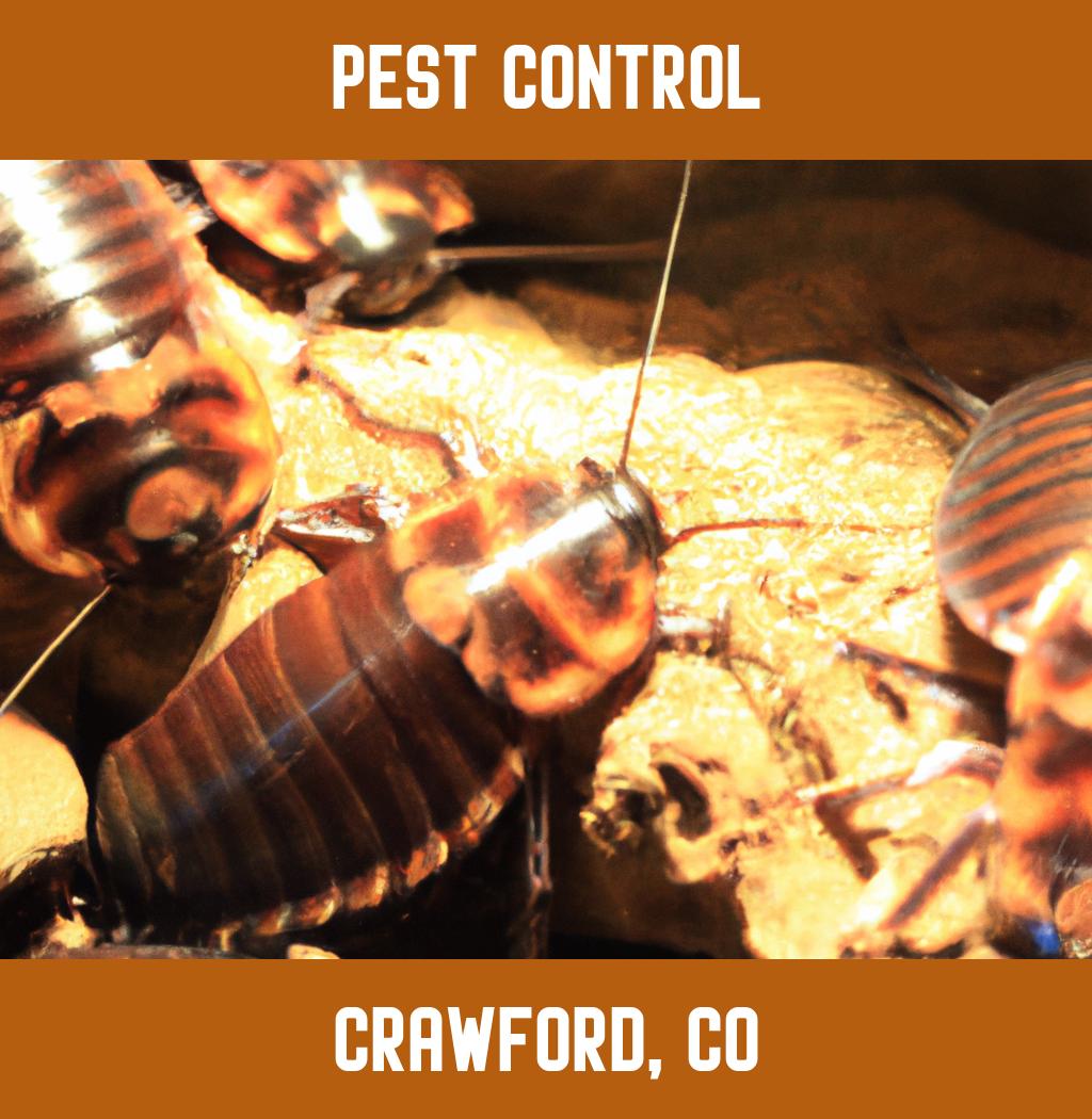 pest control in Crawford Colorado