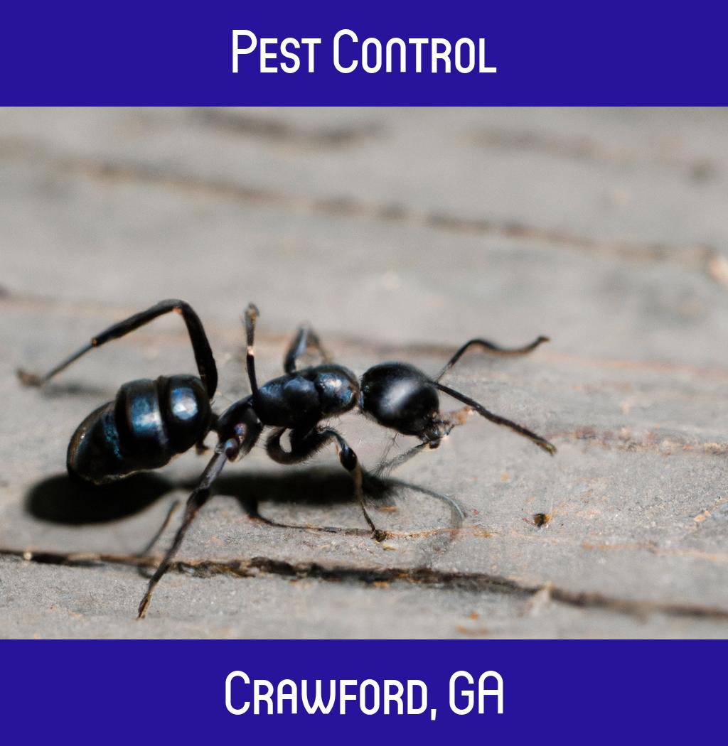 pest control in Crawford Georgia
