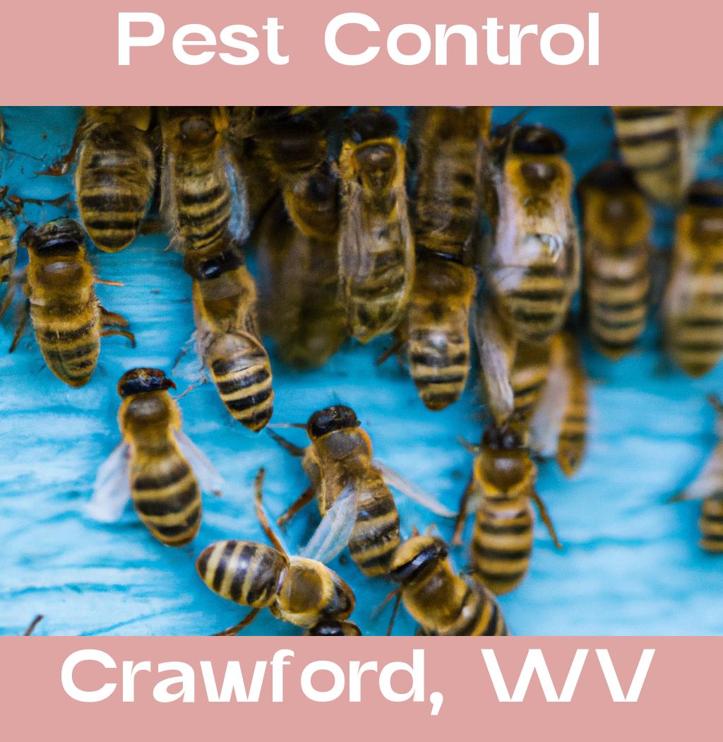 pest control in Crawford West Virginia
