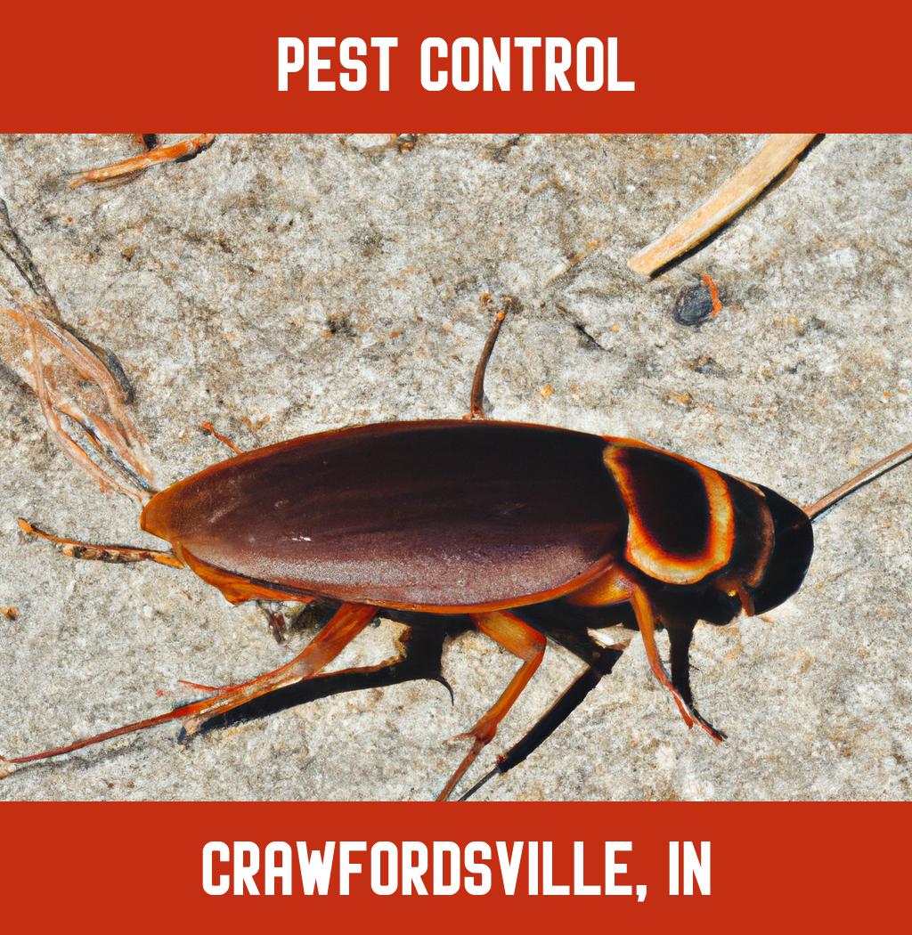 pest control in Crawfordsville Indiana