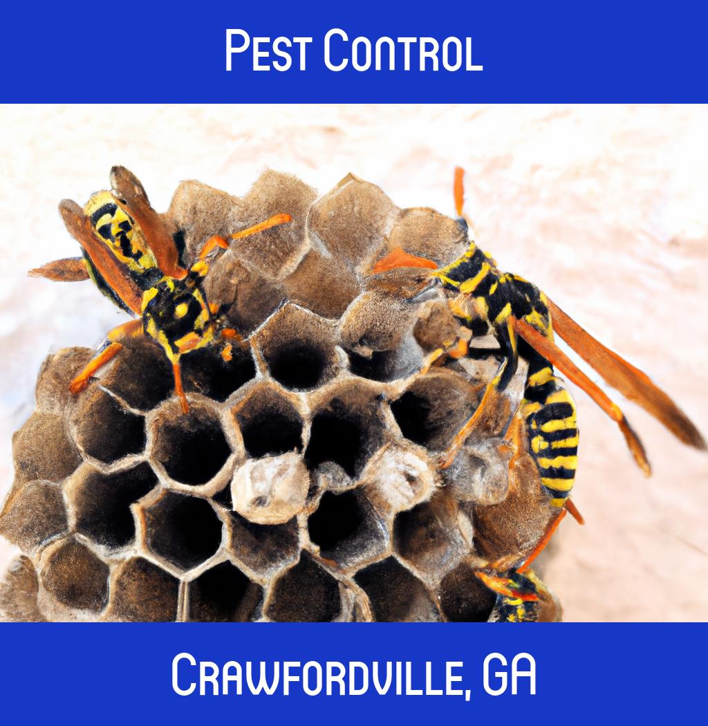 pest control in Crawfordville Georgia