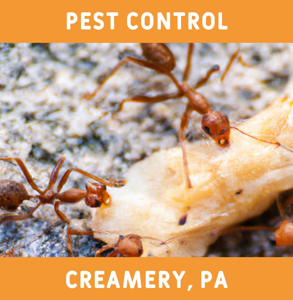 pest control in Creamery Pennsylvania