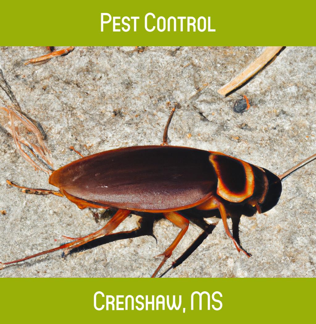 pest control in Crenshaw Mississippi