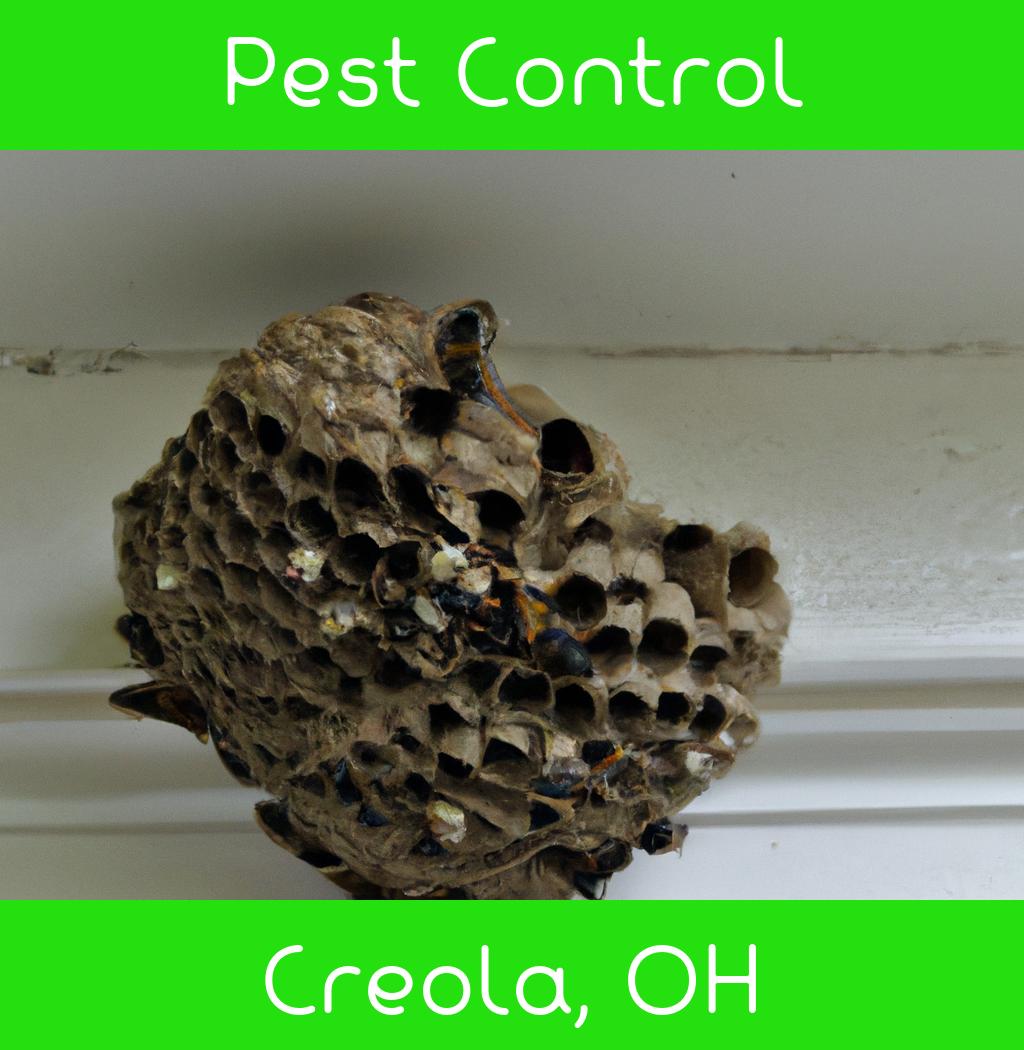 pest control in Creola Ohio
