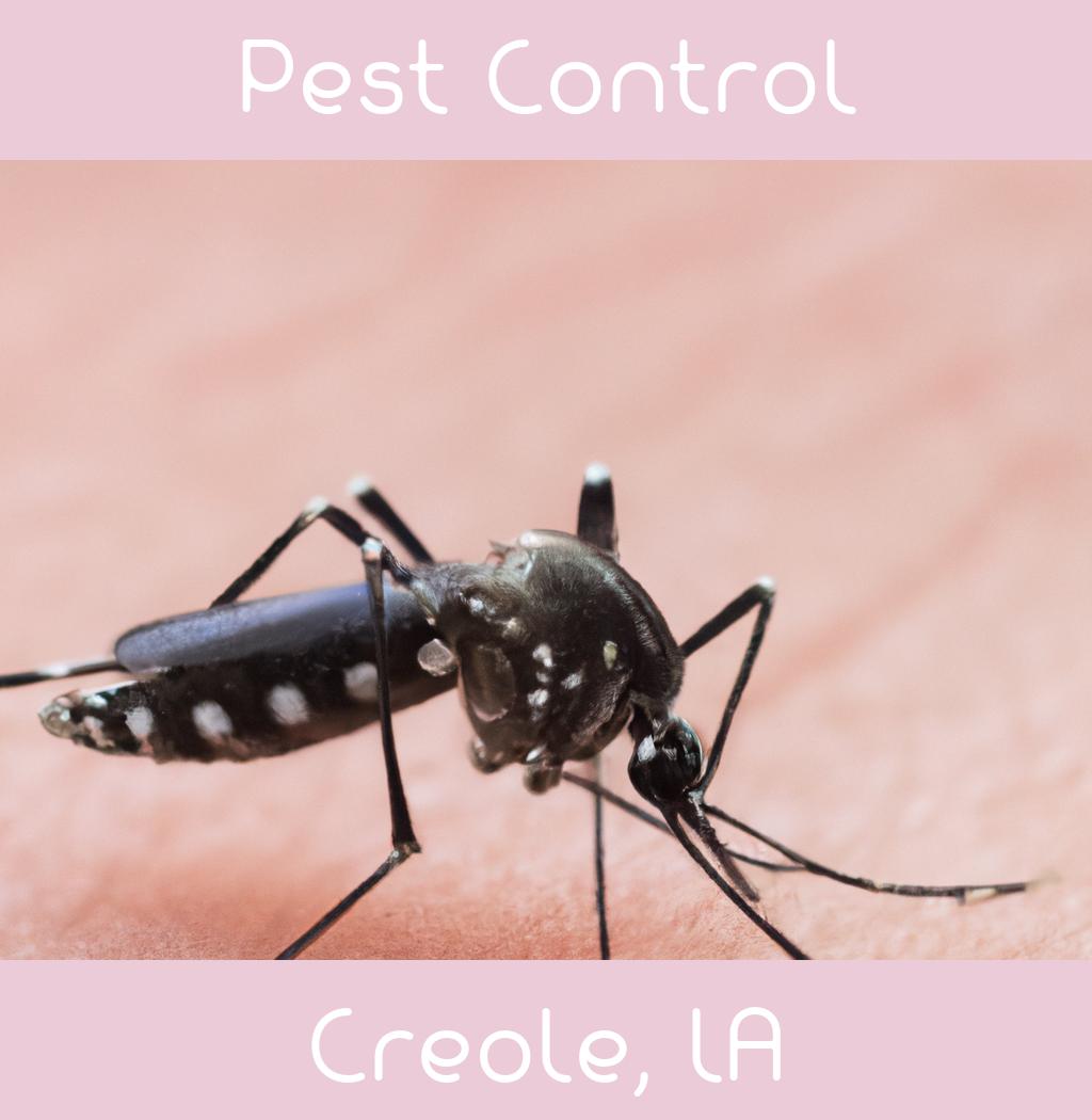 pest control in Creole Louisiana