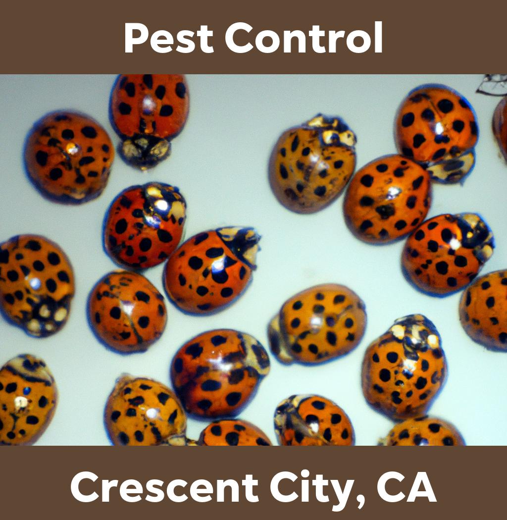 pest control in Crescent City California