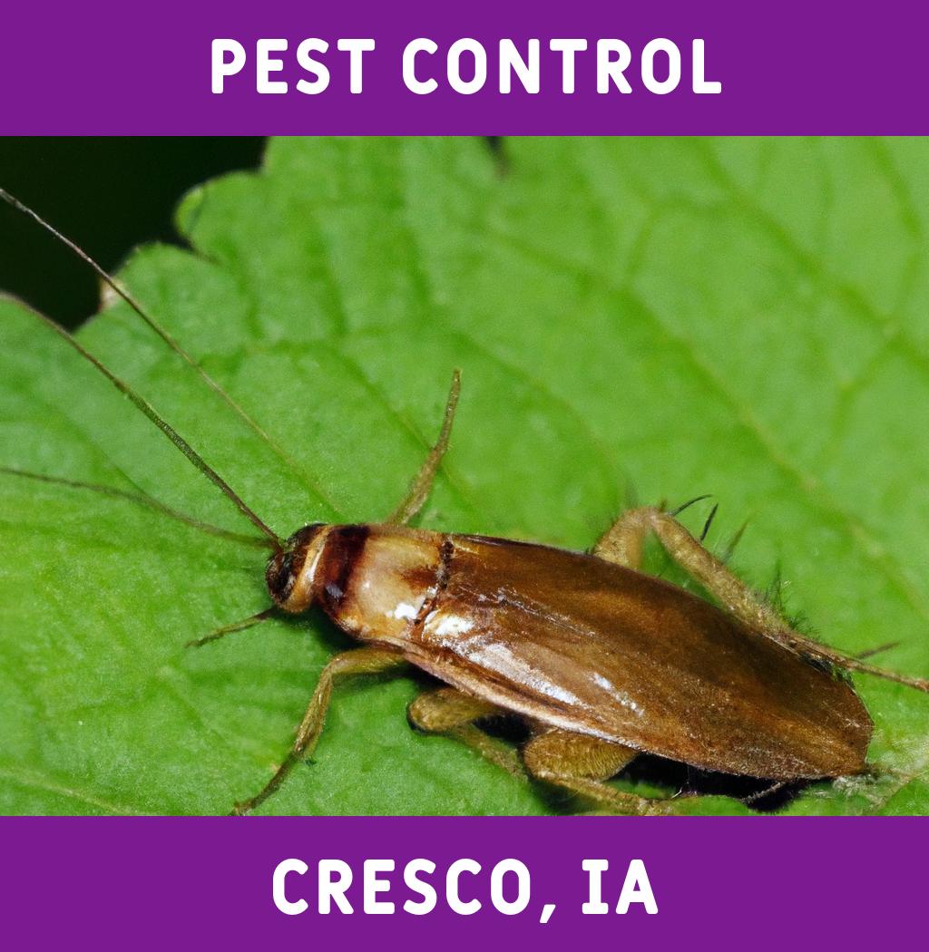 pest control in Cresco Iowa