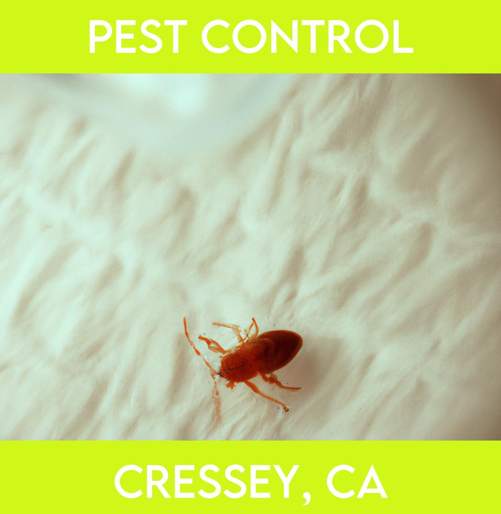 pest control in Cressey California