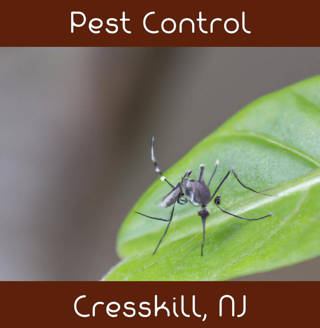 pest control in Cresskill New Jersey