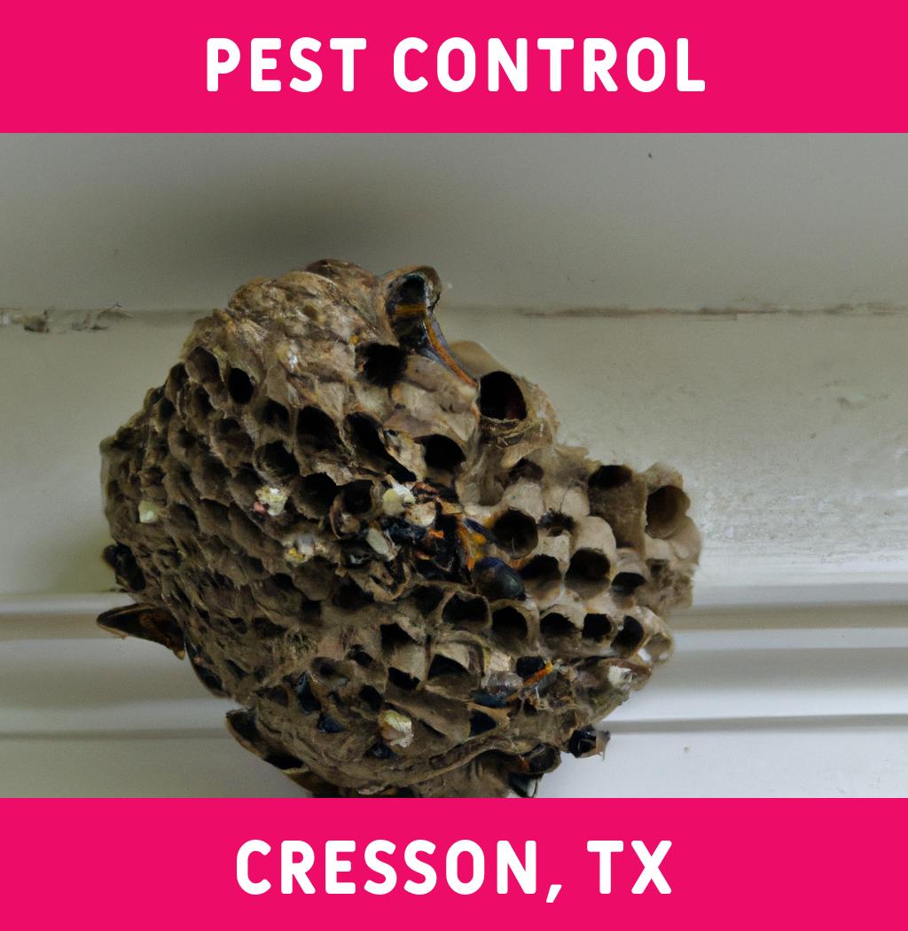 pest control in Cresson Texas