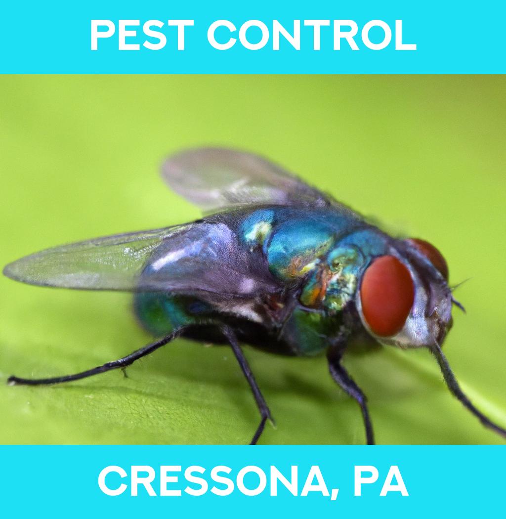 pest control in Cressona Pennsylvania
