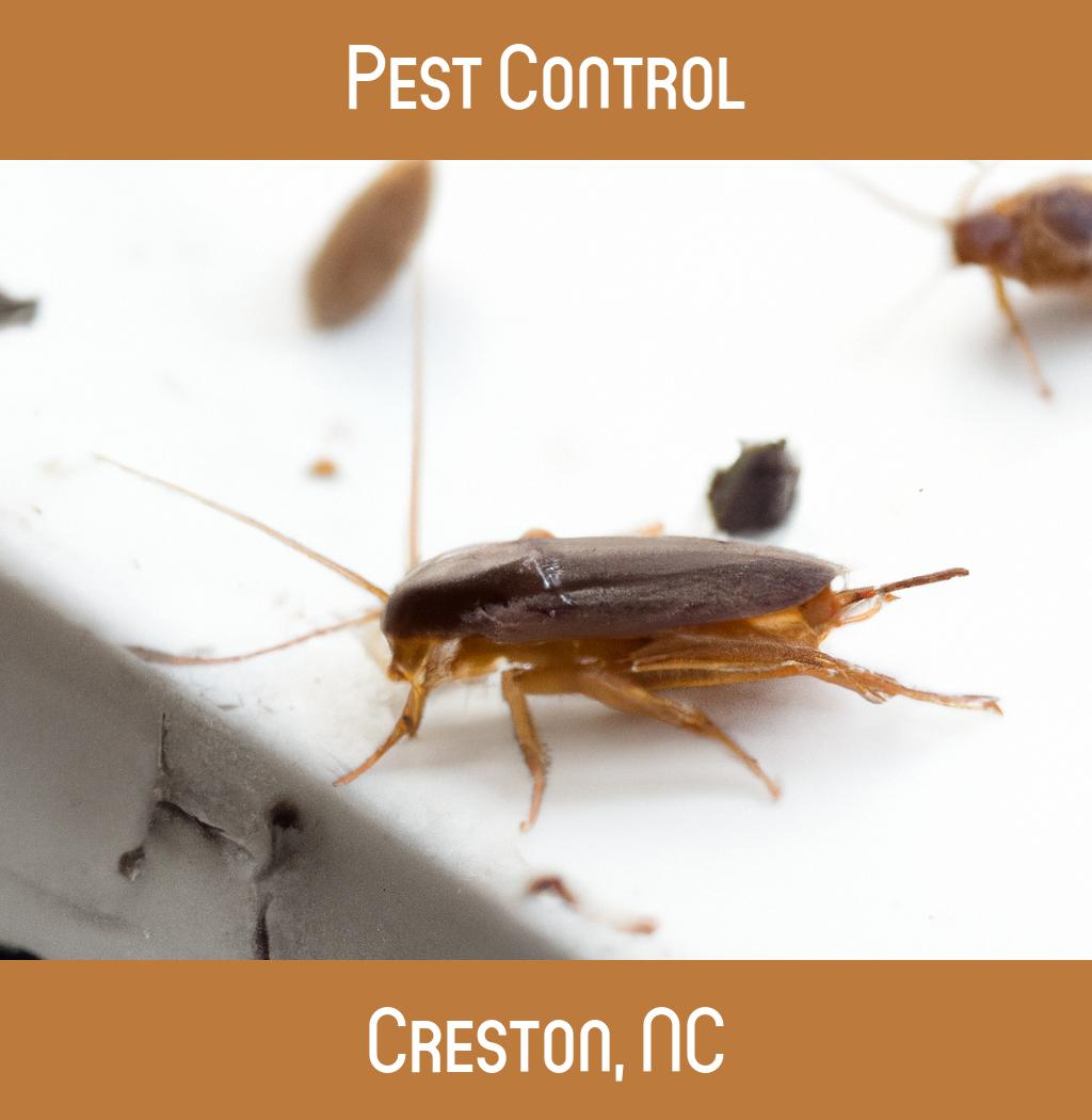 pest control in Creston North Carolina