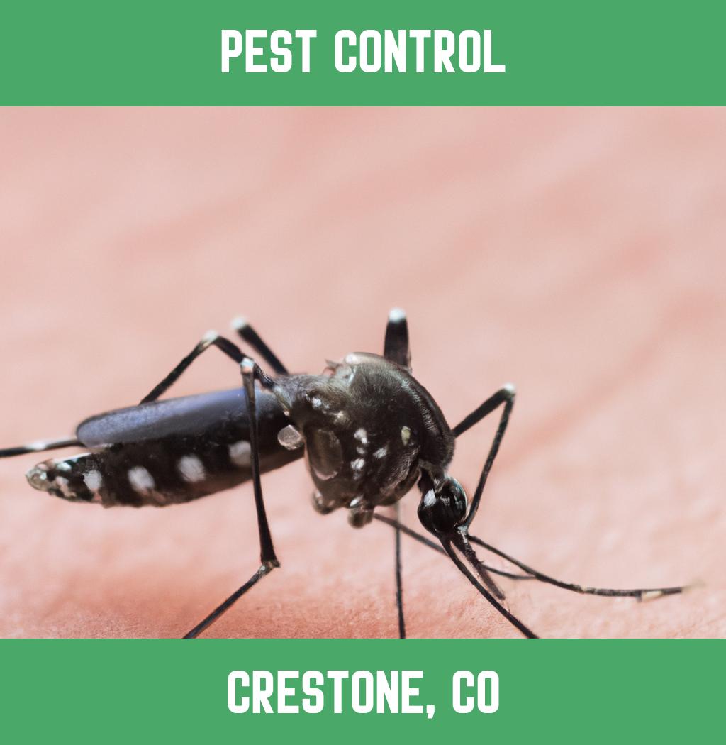 pest control in Crestone Colorado