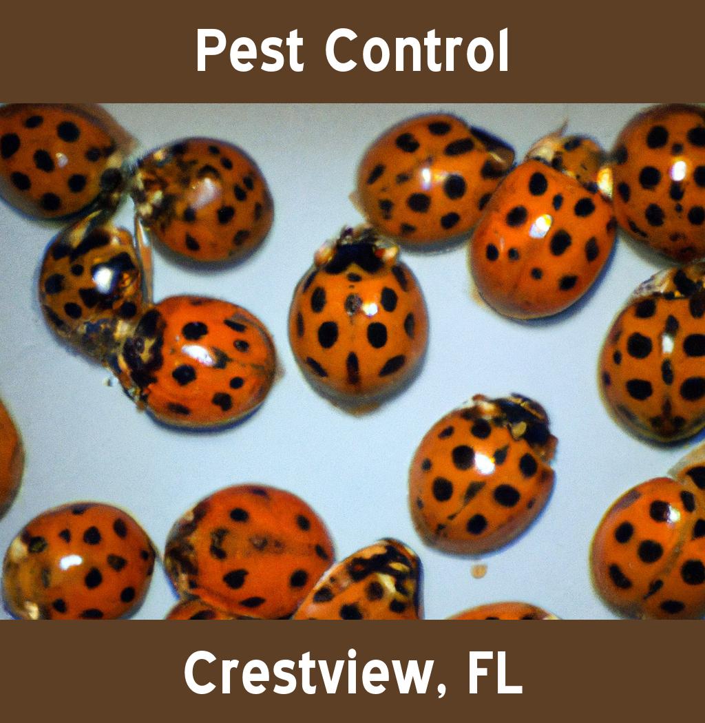 pest control in Crestview Florida
