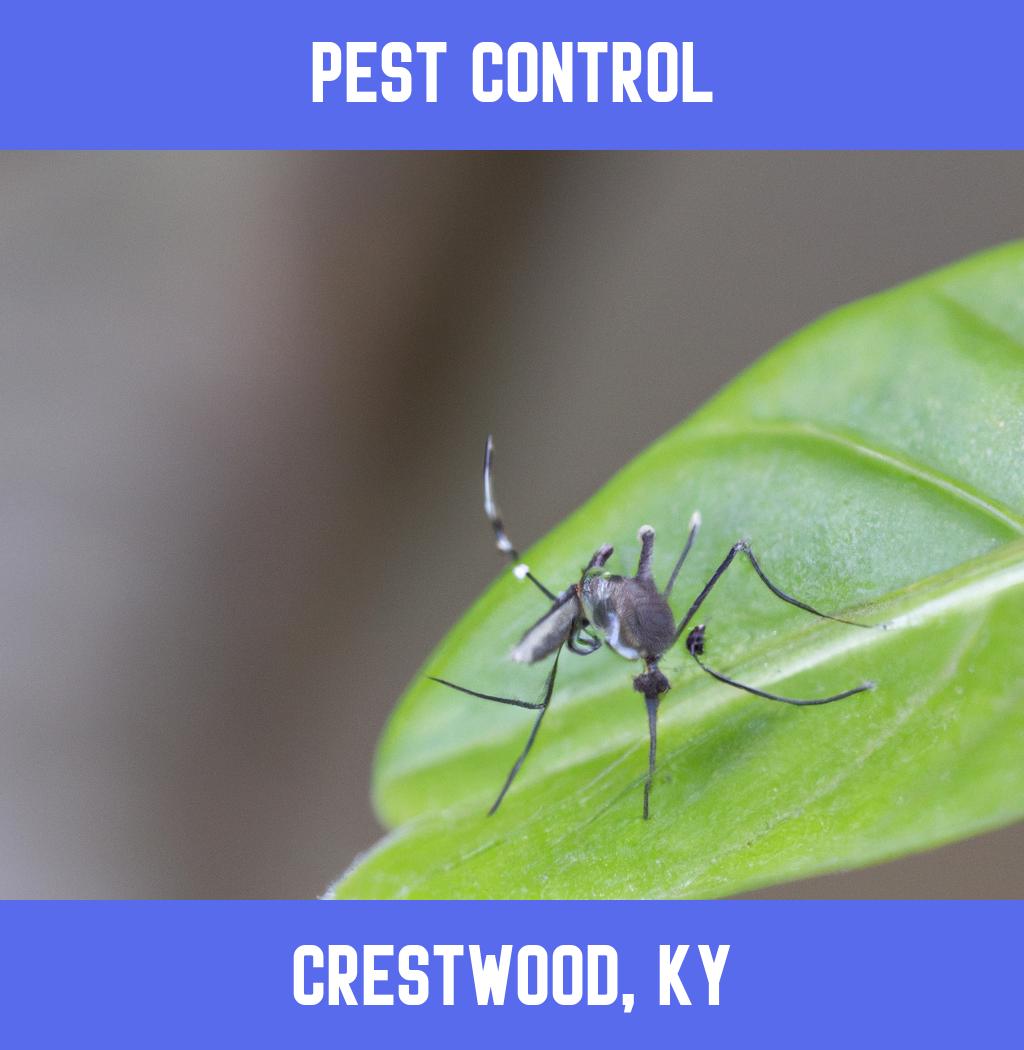 pest control in Crestwood Kentucky