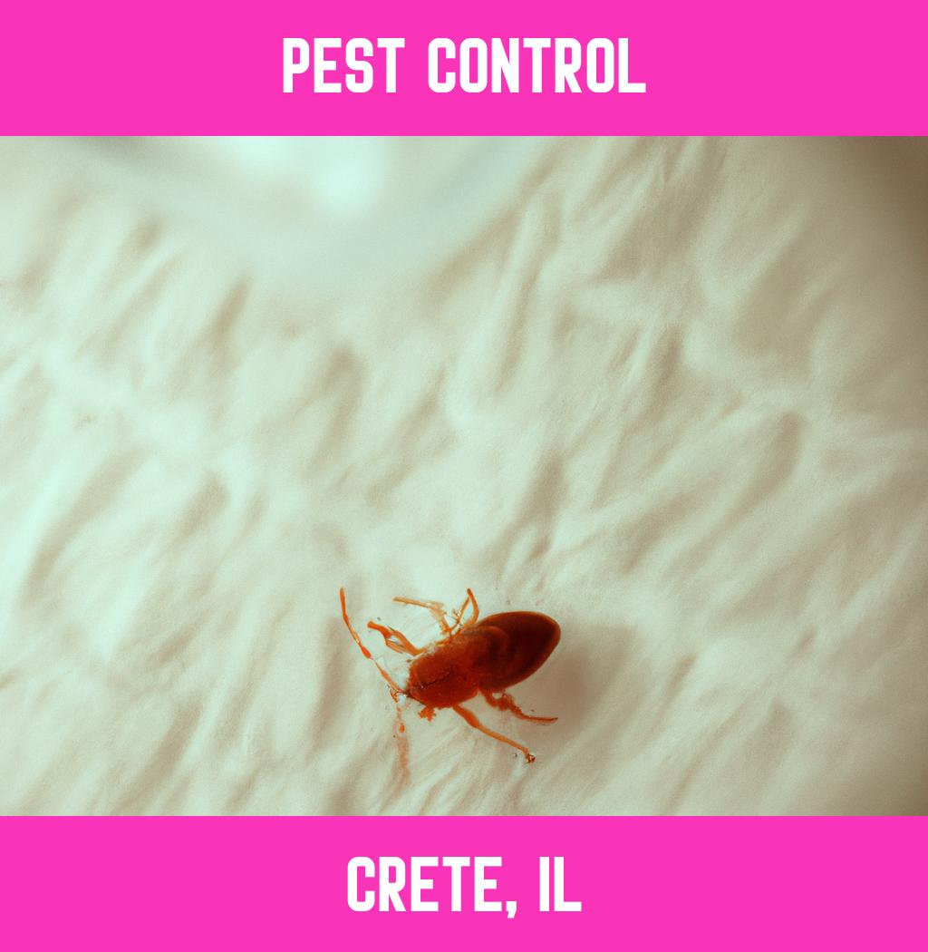 pest control in Crete Illinois