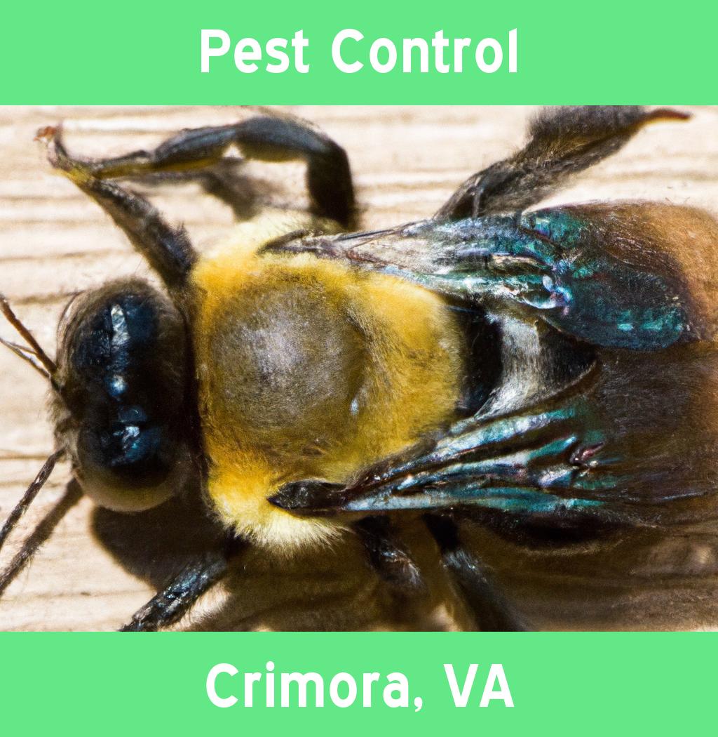 pest control in Crimora Virginia